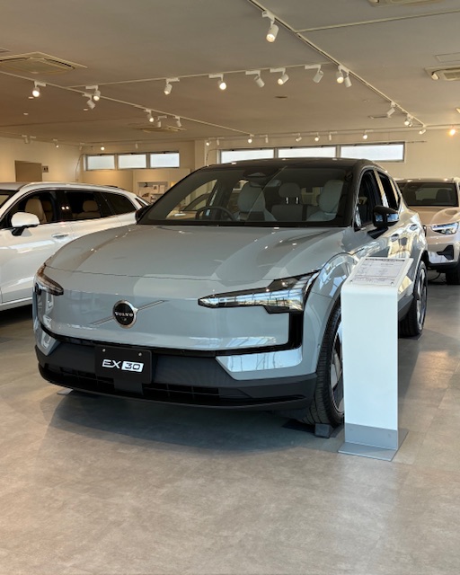 EX30 Ultra Single Motor Extended Range